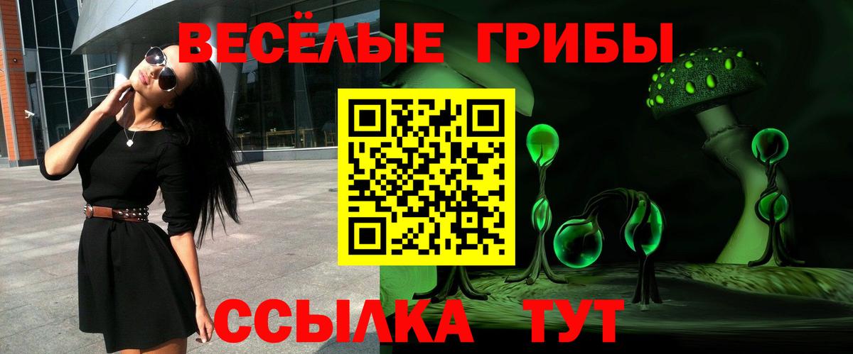 Вышний Волочёк  Псилоцибиновые грибы Psilocybe  где купить   Вход с VPN 