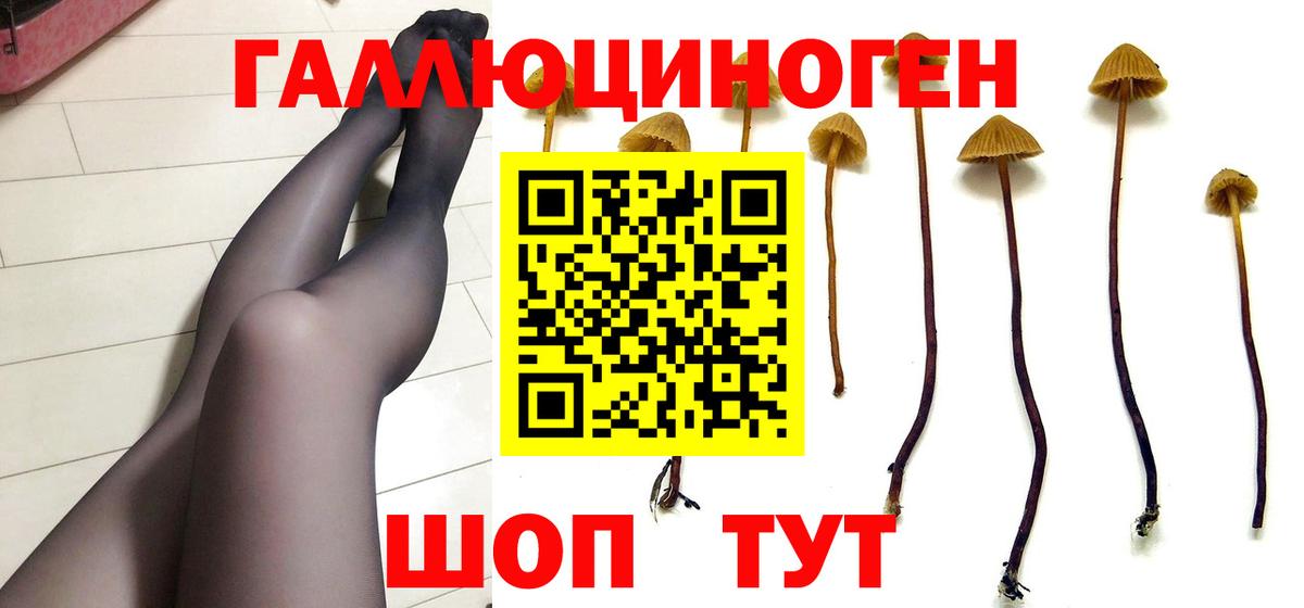 Псилоцибиновые грибы Magic Shrooms Вышний Волочёк